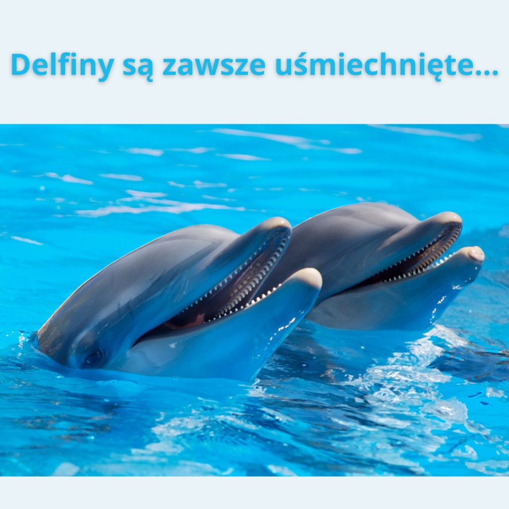 Delfiny zawsze się uśmiechają