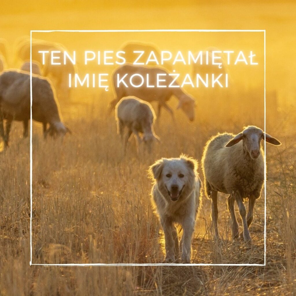 Michał wie, że wypada pamiętać imiona swoich znajomych.